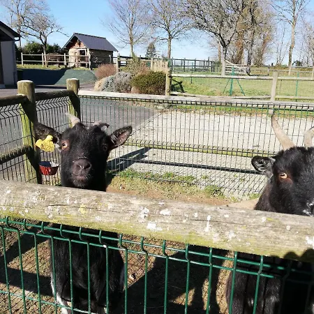 Roulot'so Zen Alojamento de Turismo Selvagem *
