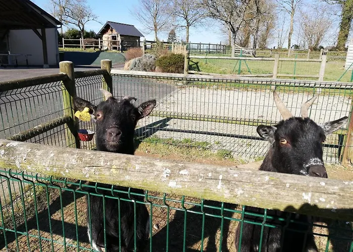Roulot'so Zen Alojamento de Turismo Selvagem *